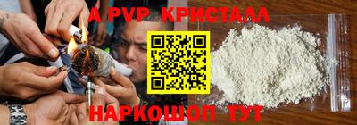 амф Донской