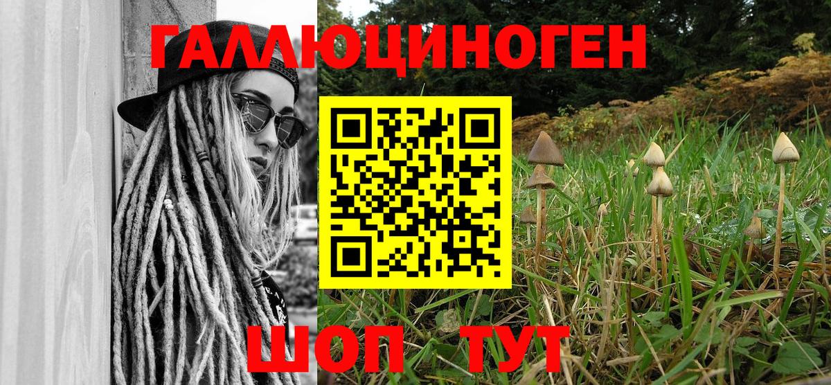 Псилоцибиновые грибы мухоморы Лабинск